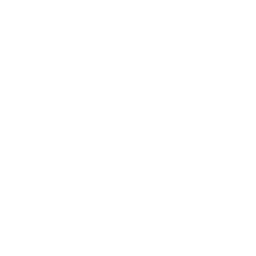 V_perfumes